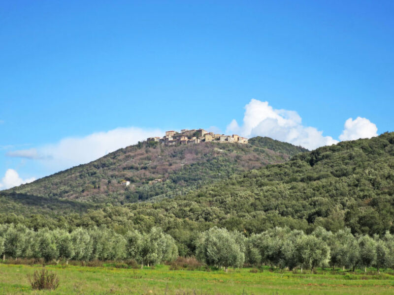 La Torre / Il Ciliegio