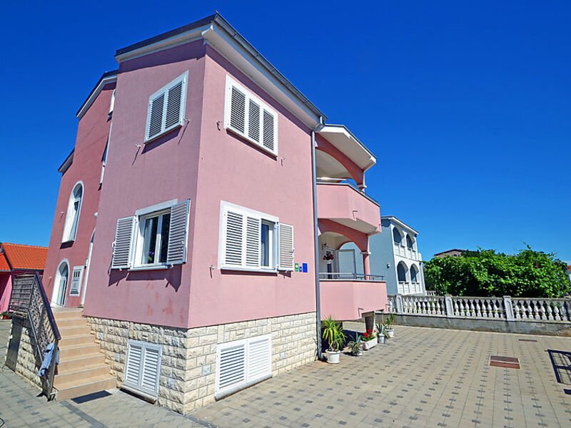 Galeb