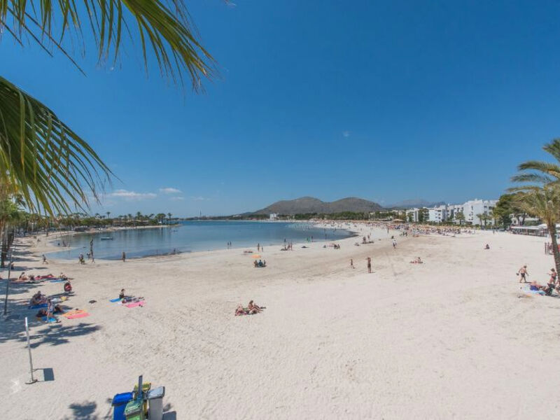 Belfor Beach