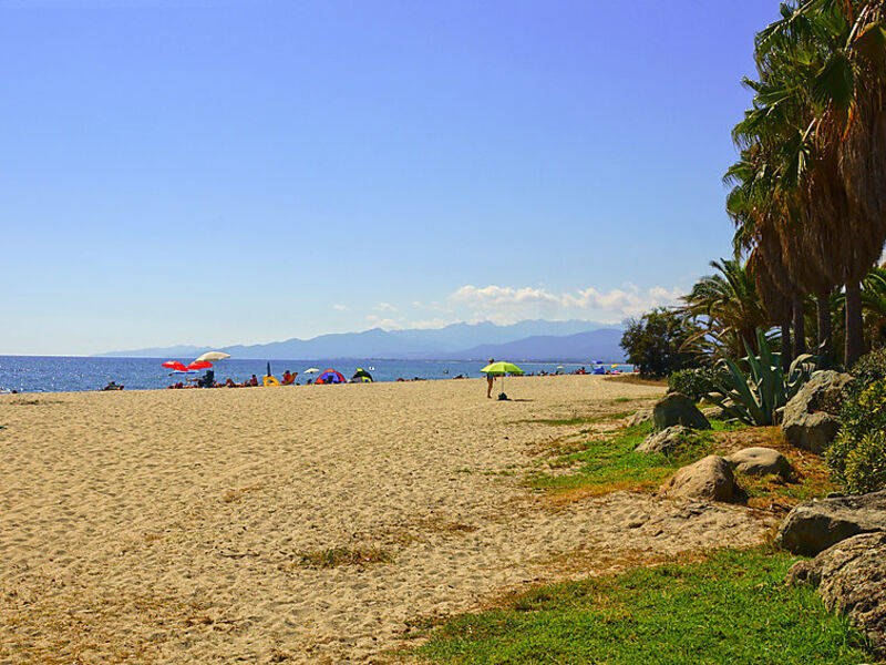 Marina D'Oru