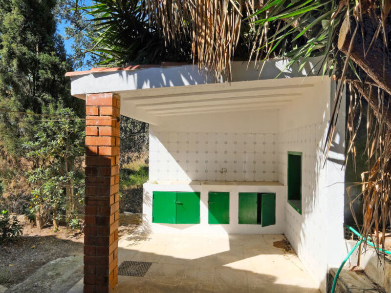 Pinos Ii