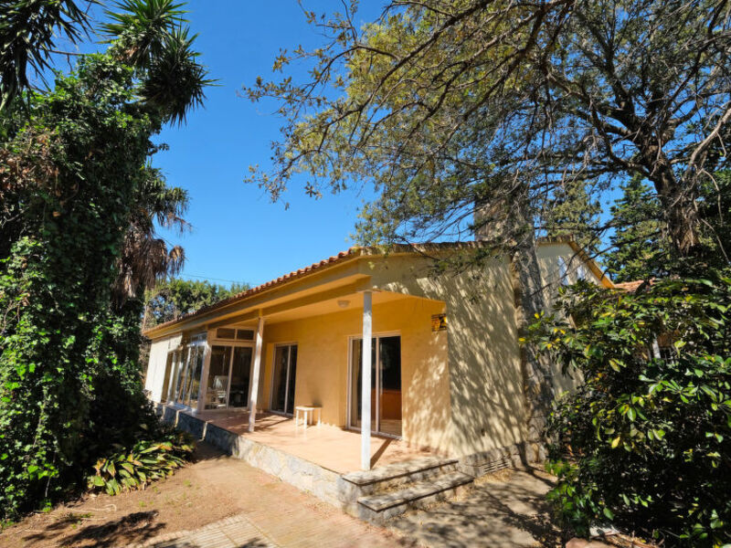 Pinos Ii