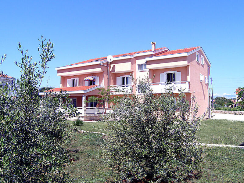 Dalmatino