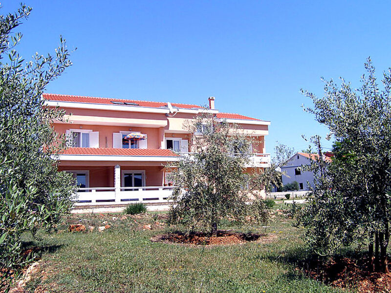 Dalmatino