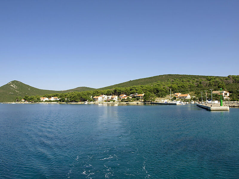 Marušić