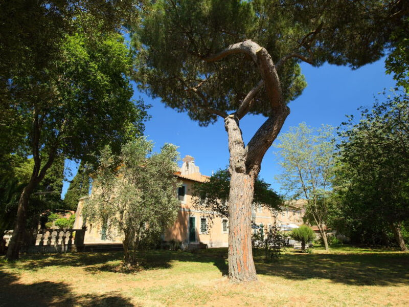 Falcognana