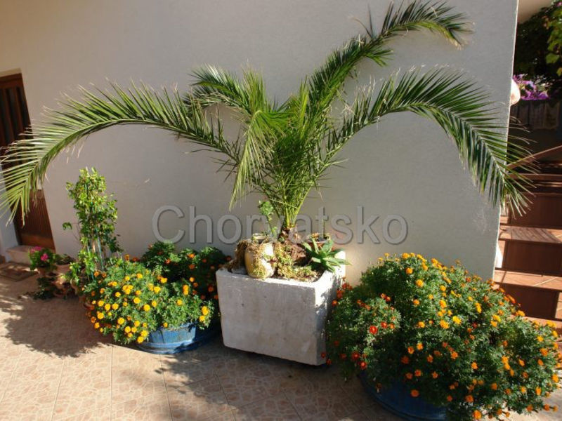 Apartmány India