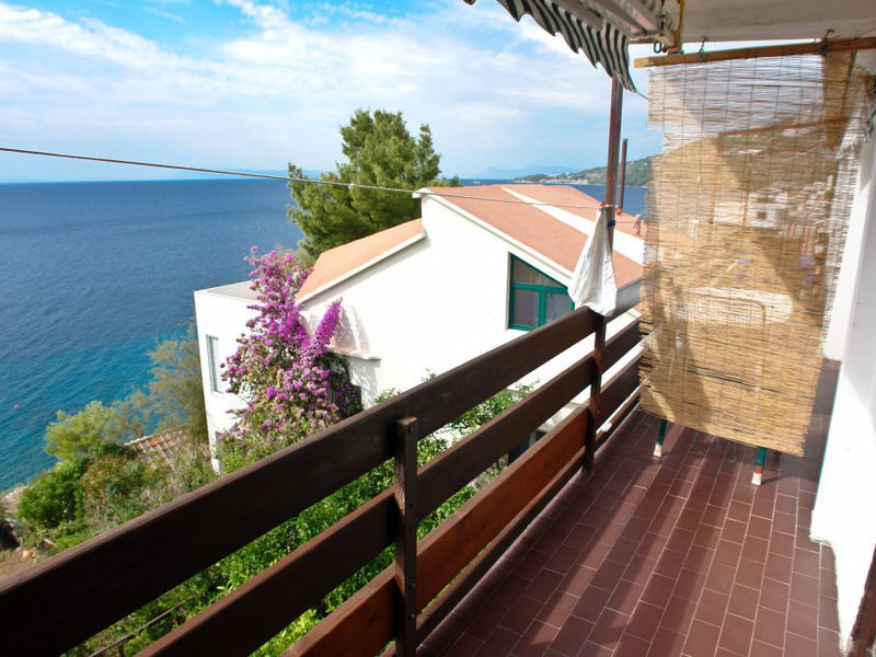 Apartmány Vice