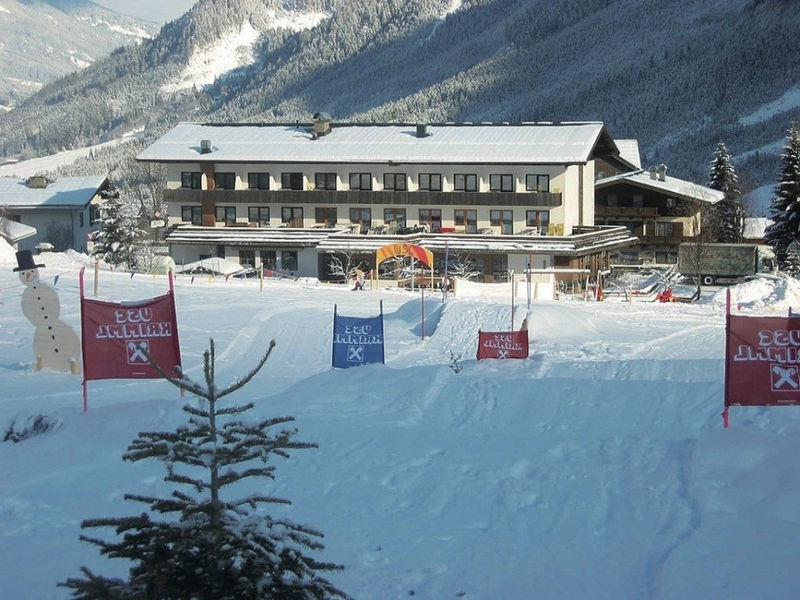 Hotel Alpina