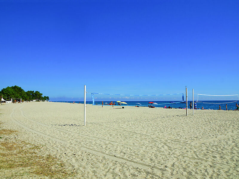 Marina D'Oru