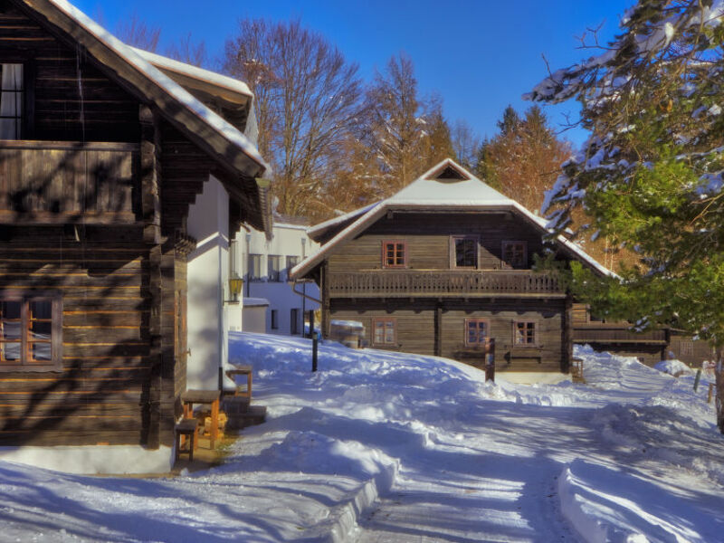 Schönleitn