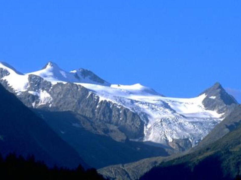 Alpenwellnesshtl. Gasteigerhof