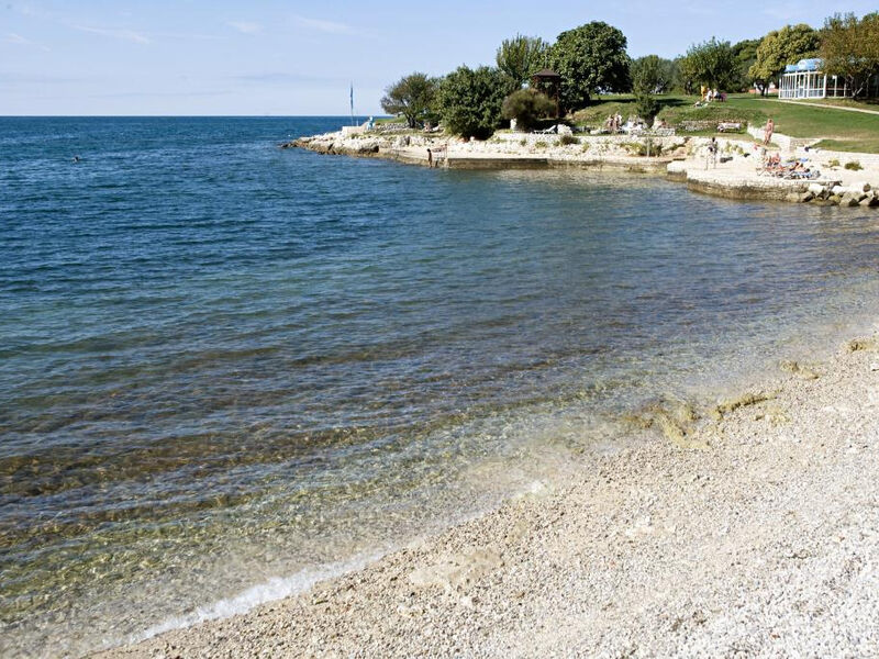 Laguna Albatros