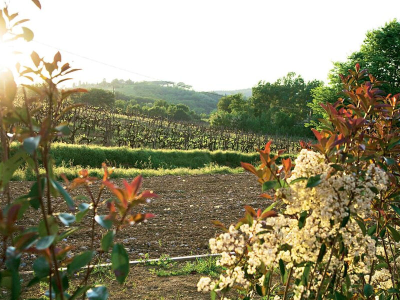 RelaisVilla Il Palagio