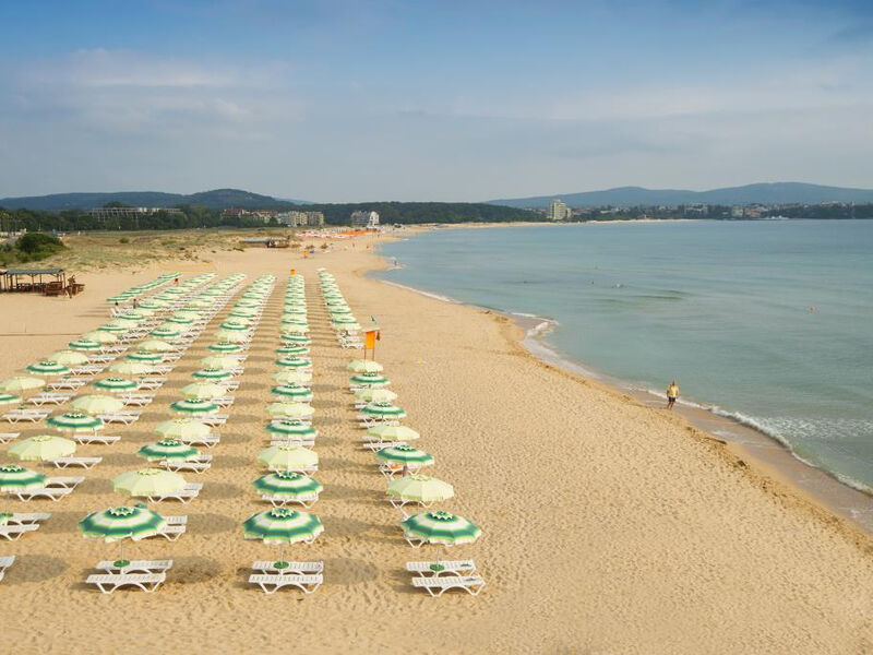 Forest Beach