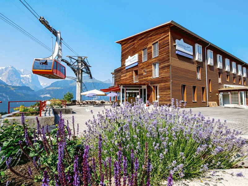 Das Hotel Panorama