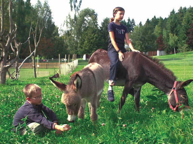 Sport-Hotel Am Pfahl