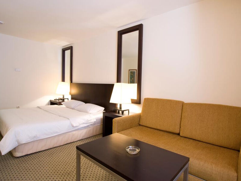 Hotel International