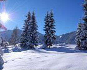 Pension Larchbrunn