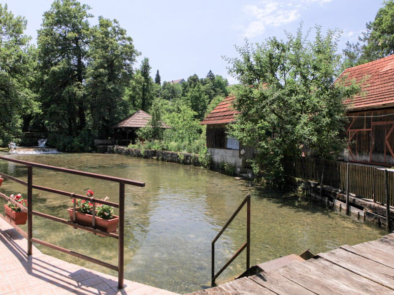 Pokoje Ivan