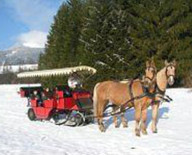 Gasthof Hüttwirt - Liftpass inklusive
