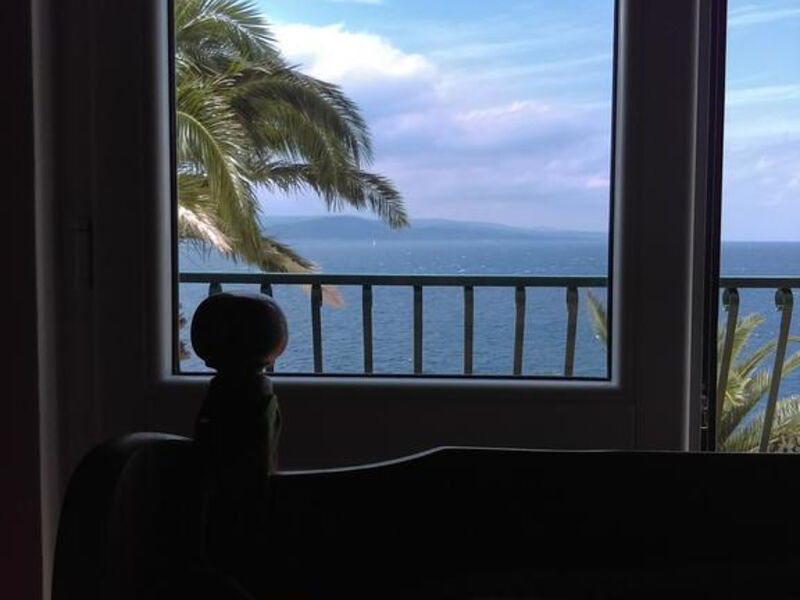 Apartmány Tri Palme 1