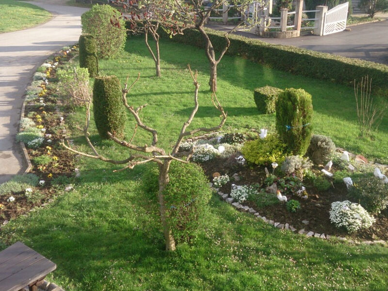 Apartmány Marela