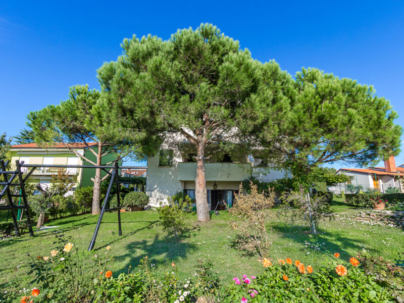 Apartmán 1318-281