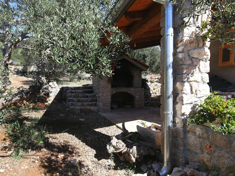 Robinzonáda Delphini