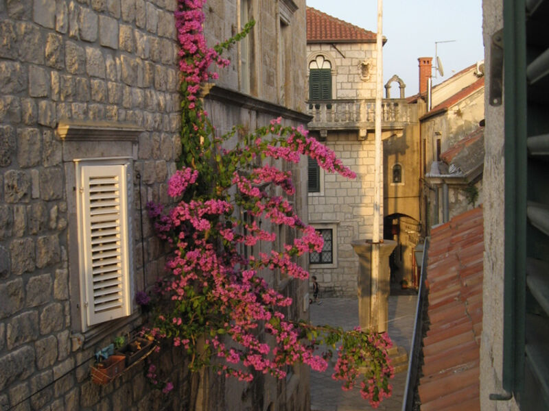 Vila Guinio house