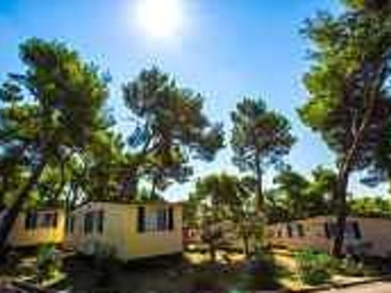 Camp ARENA Indije-Mobile Homes