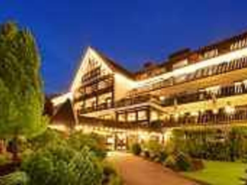 Sauerland Alpin Hotel