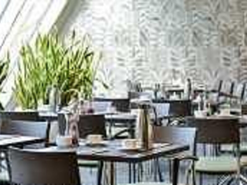 Hotel Dorint Hotel Dresden