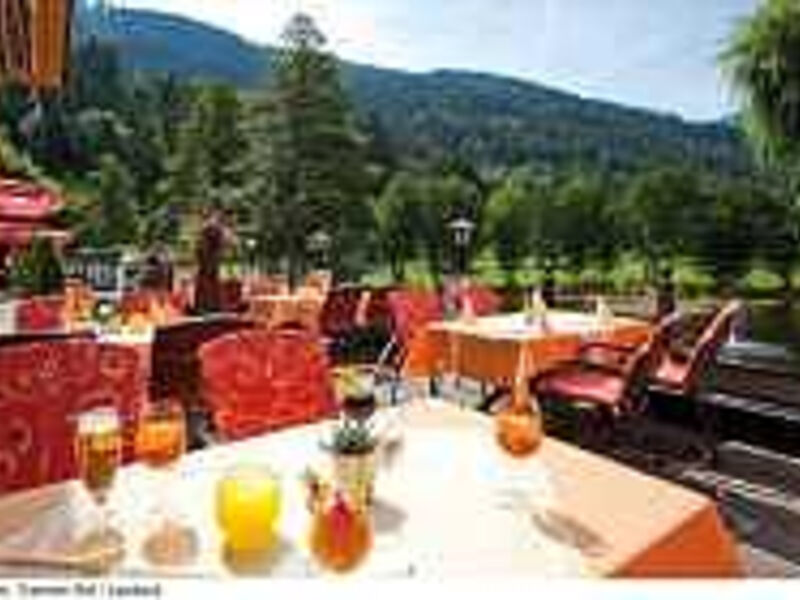 Hotel Tramser Hof