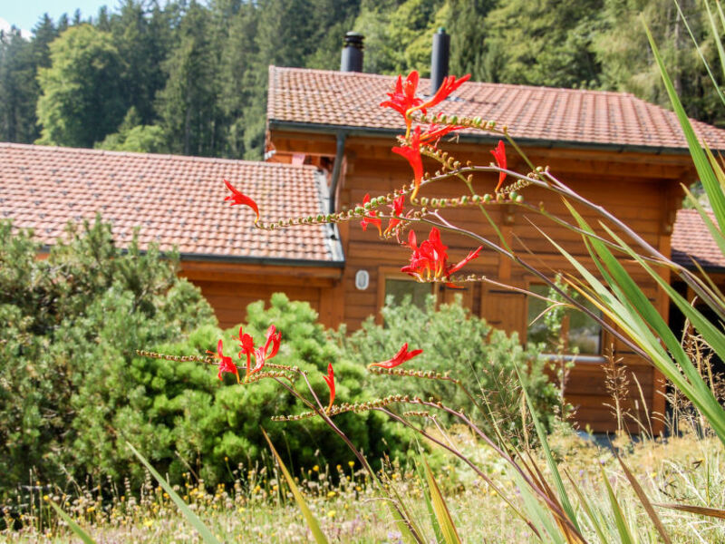 Chalet Achillea