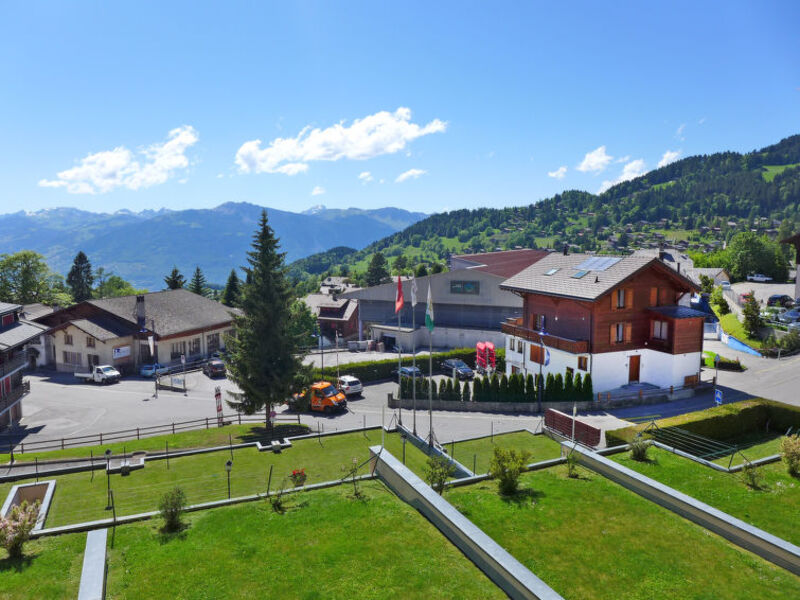 Panorama