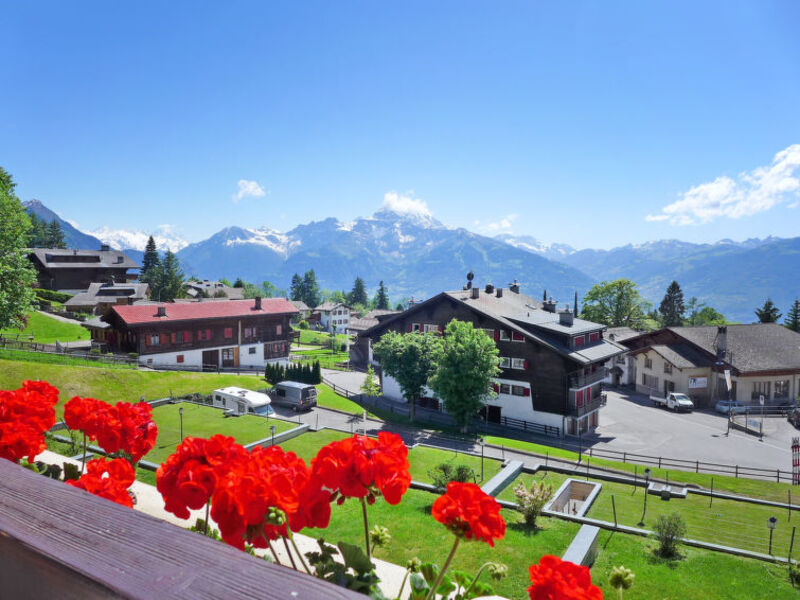 Panorama