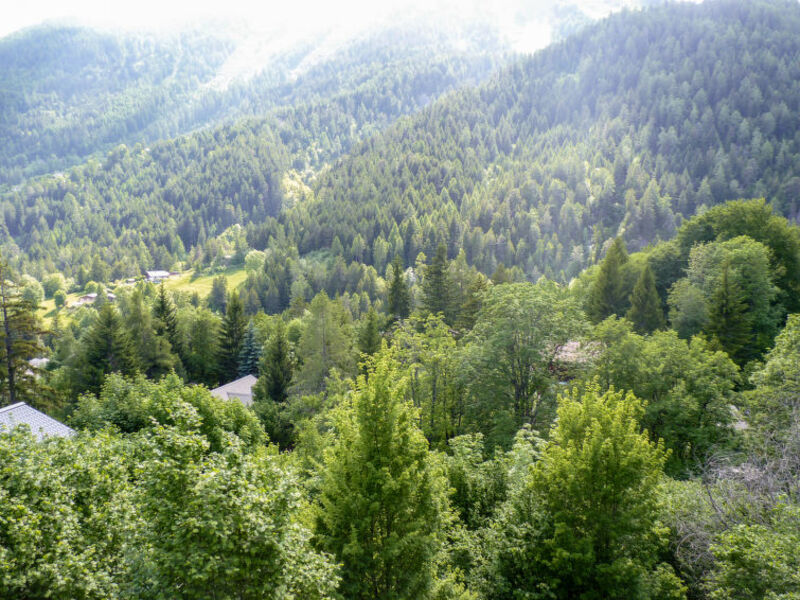 Chalet Clouseau