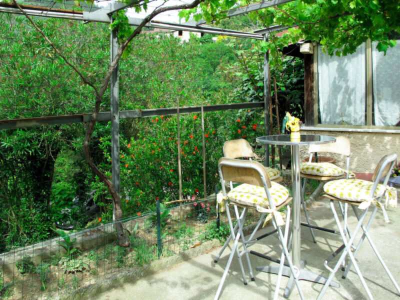 Il Borgo Delle Mimose
