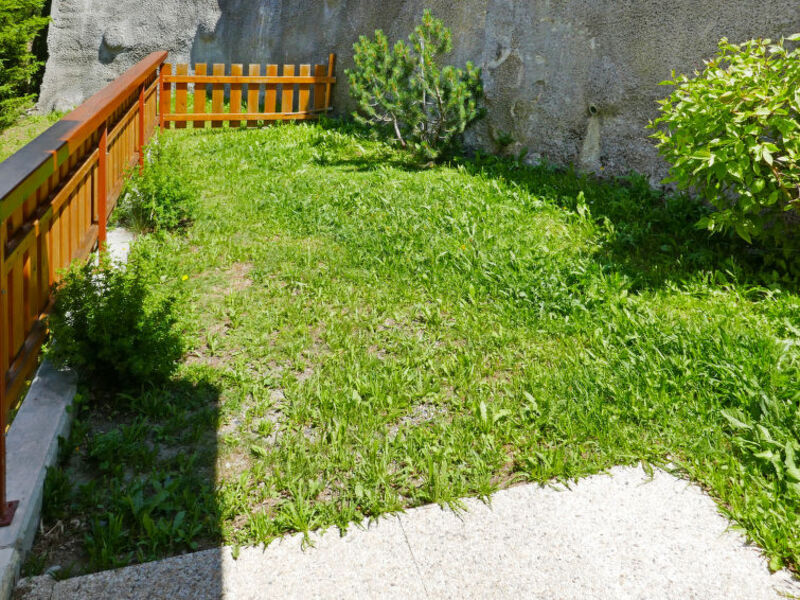 Le Bouquetin