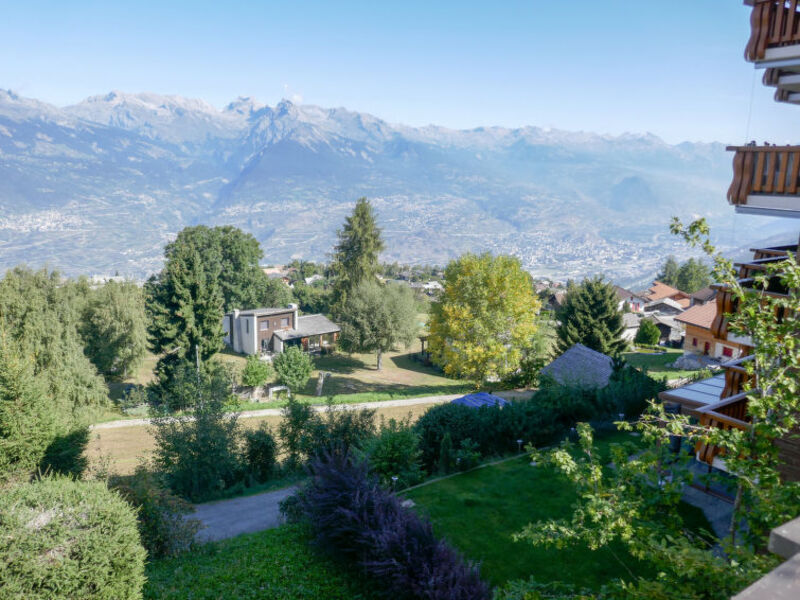 Le Bouquetin