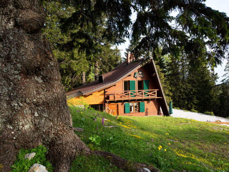 Chalet Alpinka