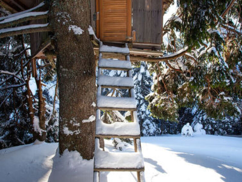 Chalet Alpinka