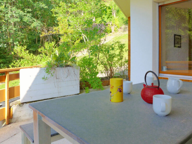 Terrasse Des Alpes