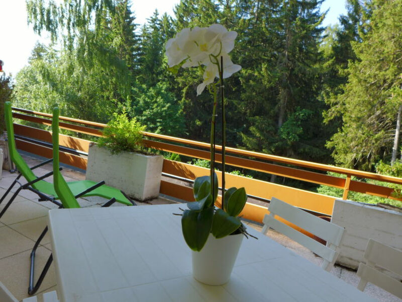 Terrasse Des Alpes