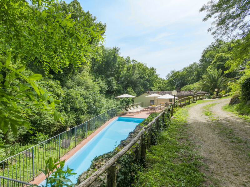 Vecchio Mulino Di Vinci