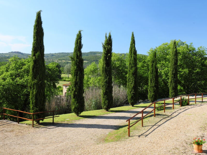 Lavanda