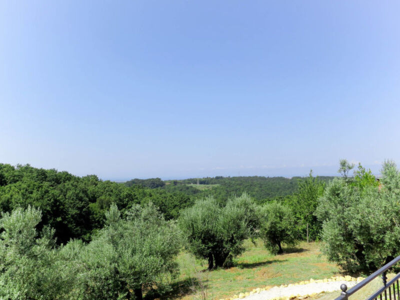 Villa L`Ulivo