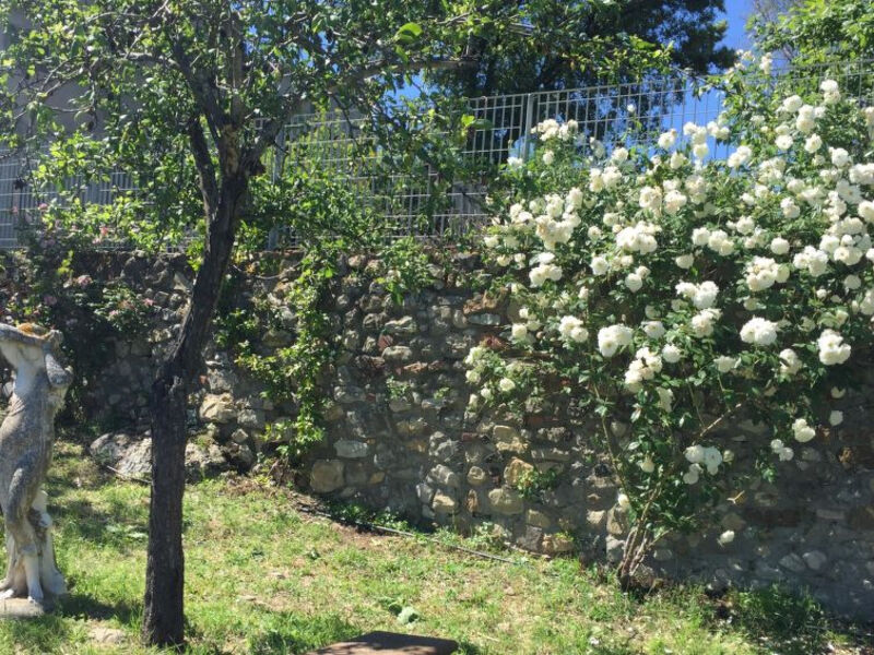 Podere L'Orsinghi App. A