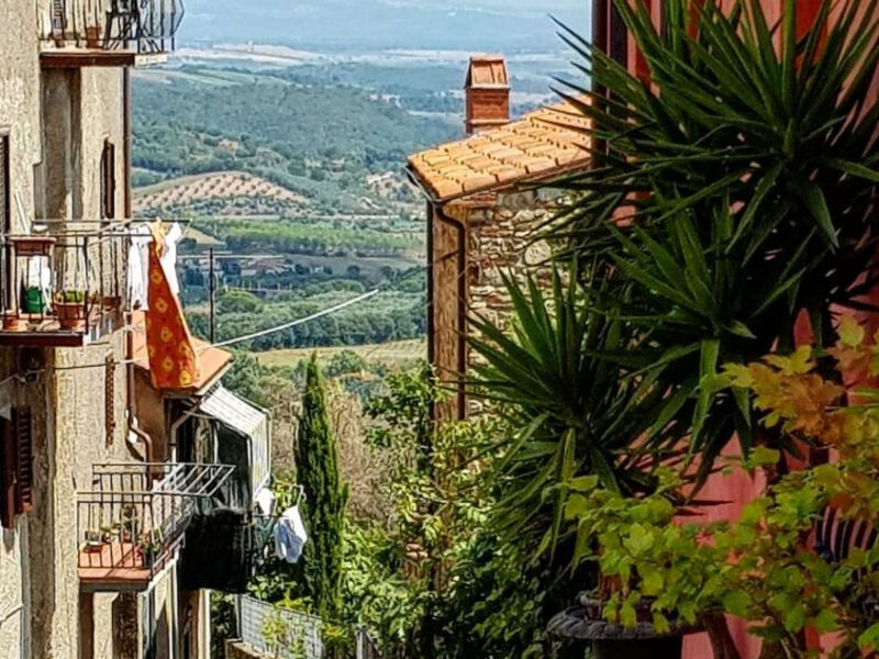 Podere L'Orsinghi App. A